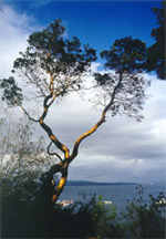 Piers Island