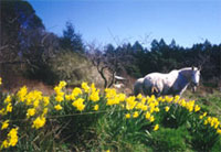 Piers Island